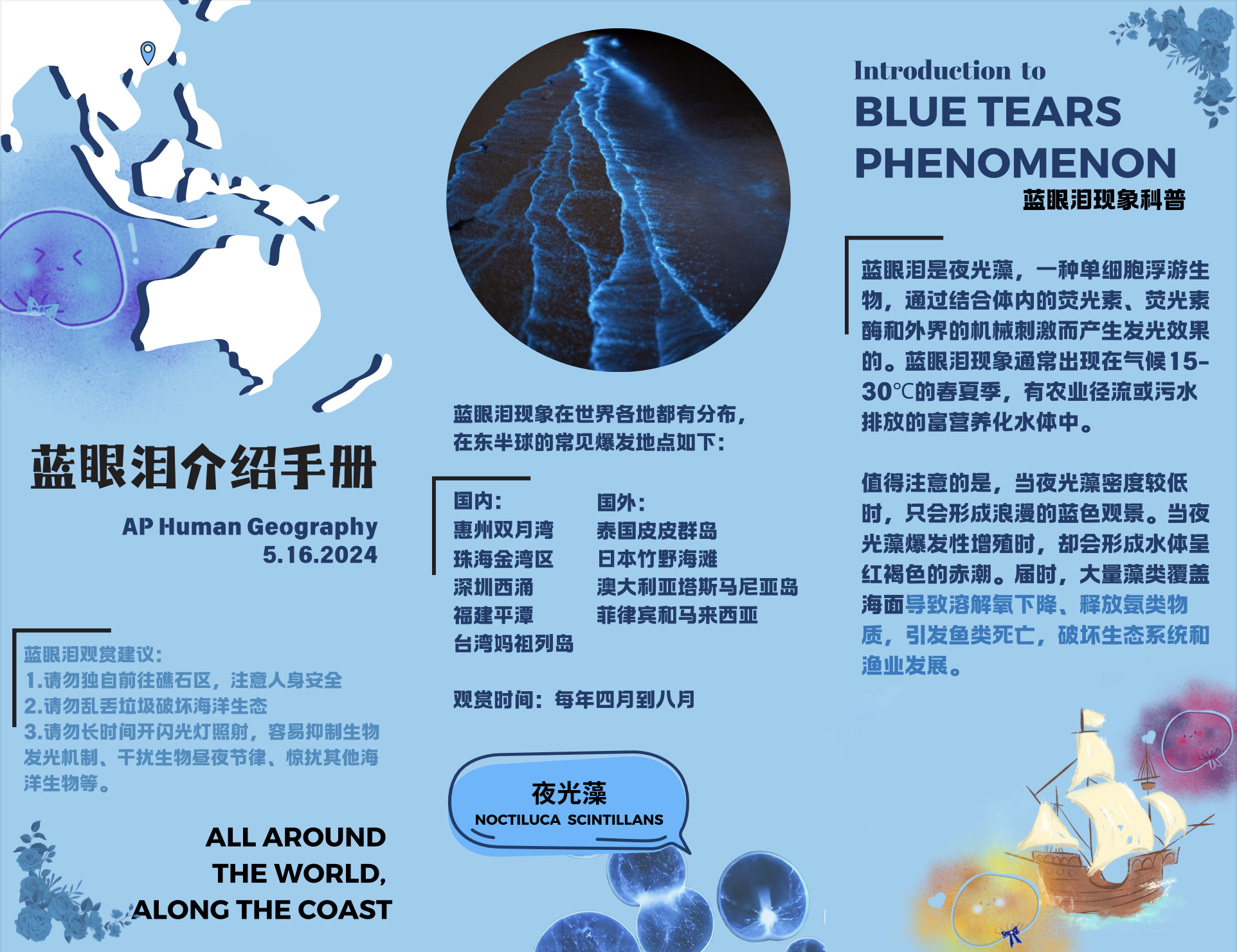 蓝眼泪科普海报